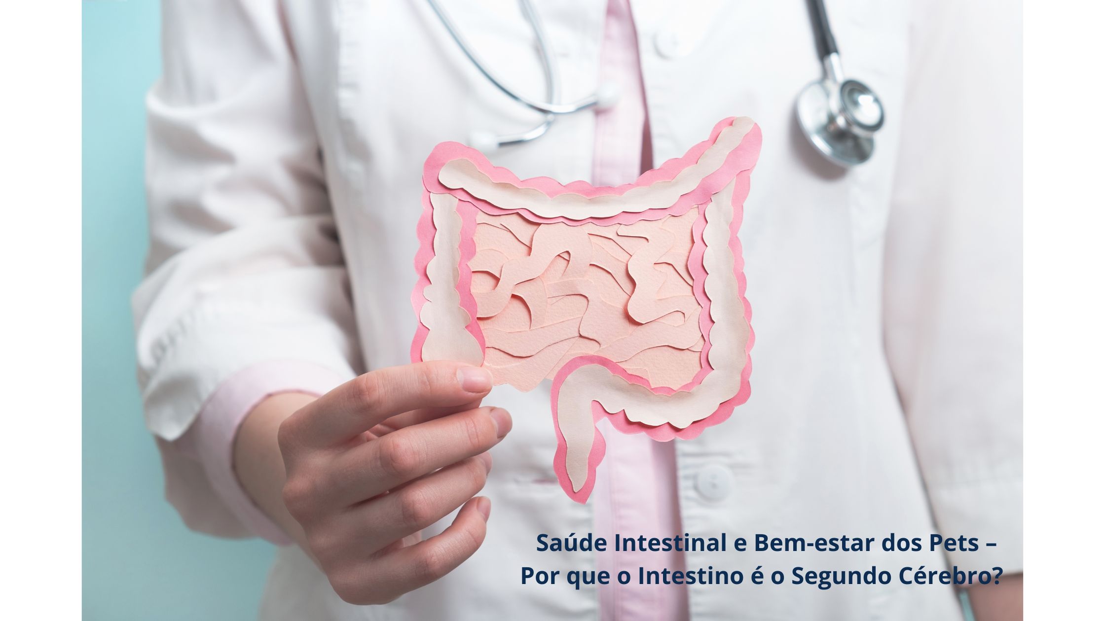 Saúde Intestinal e Bem-estar dos Pets – Por que o Intestino é o Segundo Cérebro?